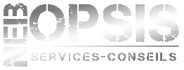 NebOpsis services-conseils